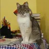 Отзыв от Инесса Белоусова